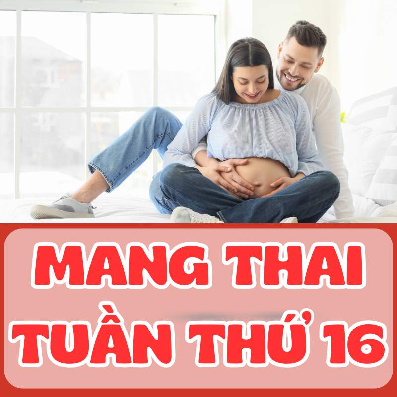 Mang thai tuần thứ 16 vfa lời khuyên dành cho các ông bố